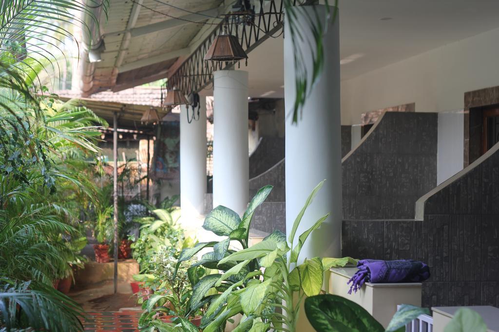 Alba Rooms Palolem Rosebuds Exterior photo